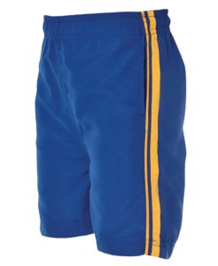 Adults Dodgeball Shorts, Stripe (stock)